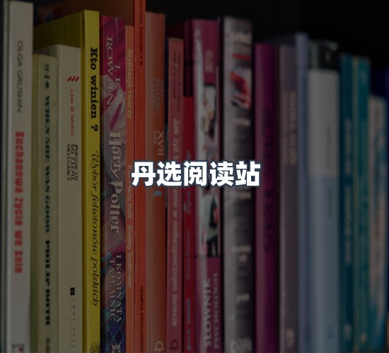 关于丹选阅读站